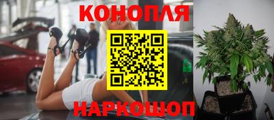 Альфа ПВП Пугачёв