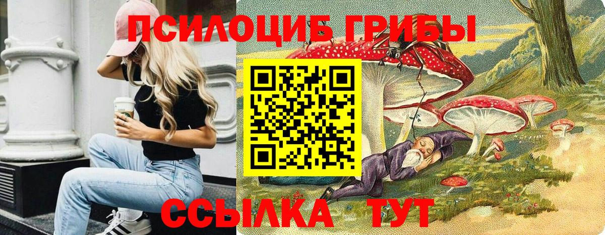 Сертолово  Псилоцибиновые грибы ЛСД  Вход с VPN 